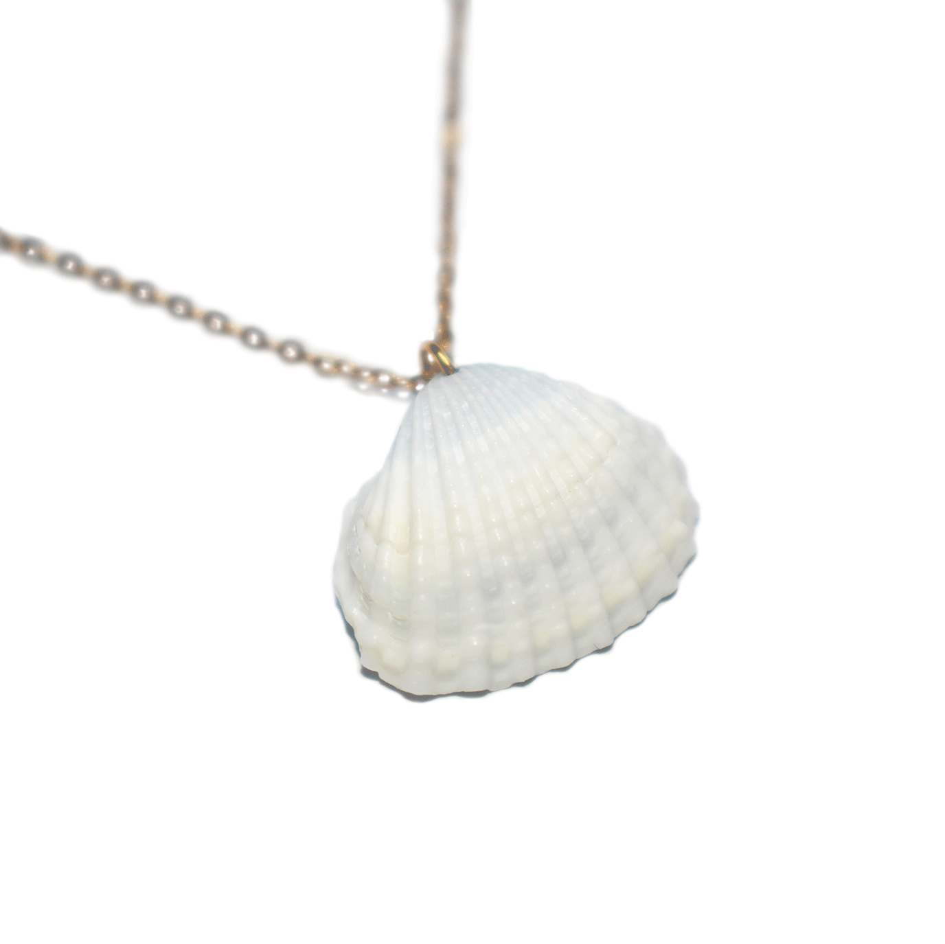 Collier coquillage 02