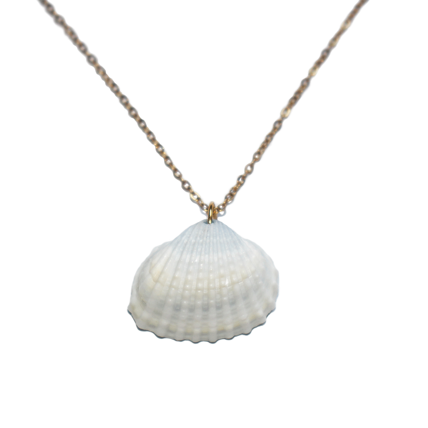 Collier Faune Marine Outremer Coquillage 01