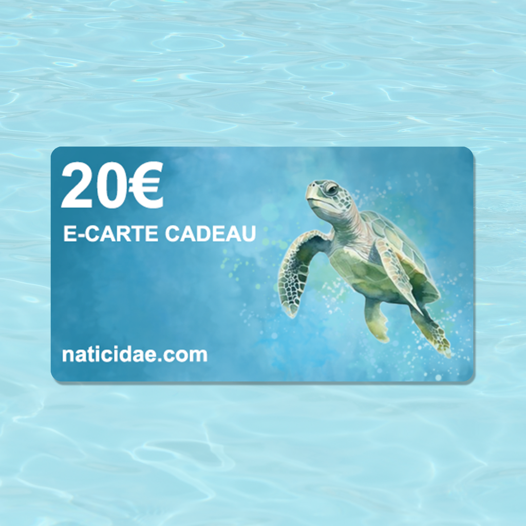 E-Carte Cadeau